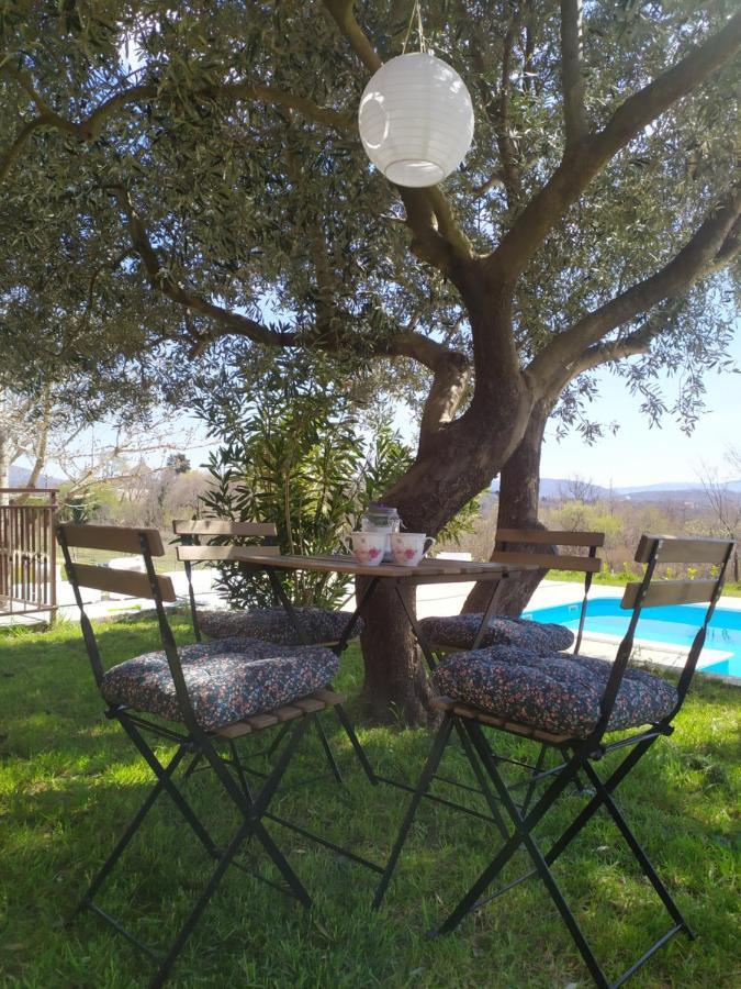 Casa Di Oliva-House With Heated Pool & Jacuzzi In Trilj, Croatia Exterior foto